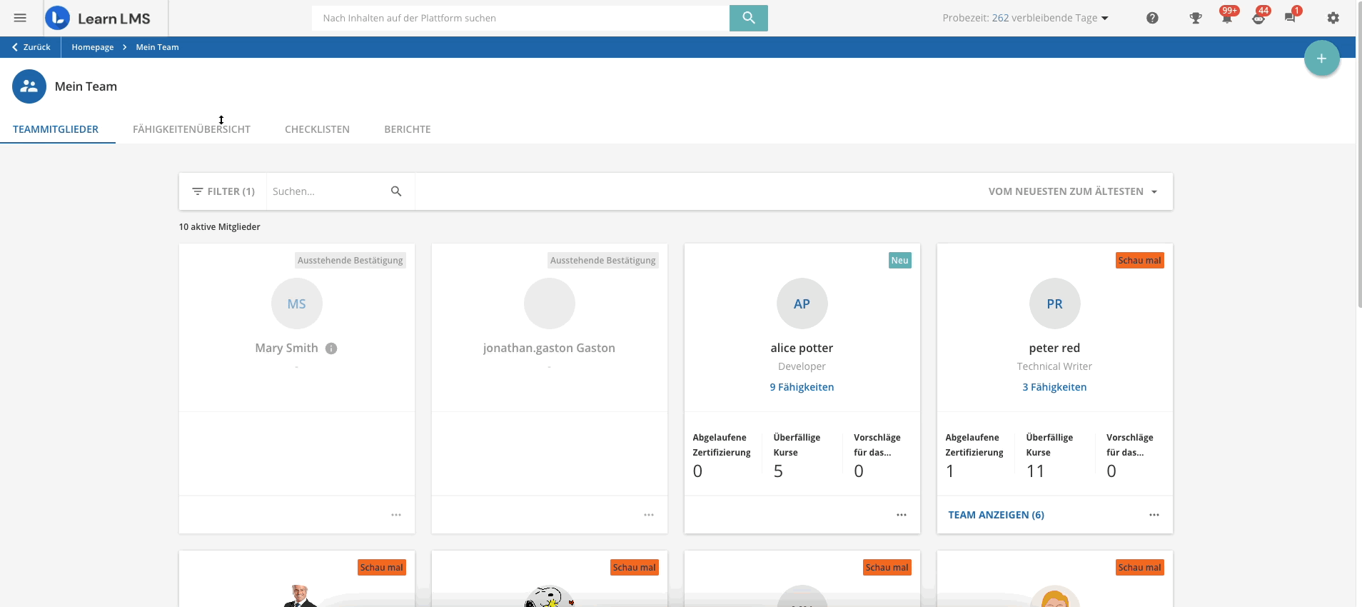 Seite Mein Team: Fähigkeitenübersicht