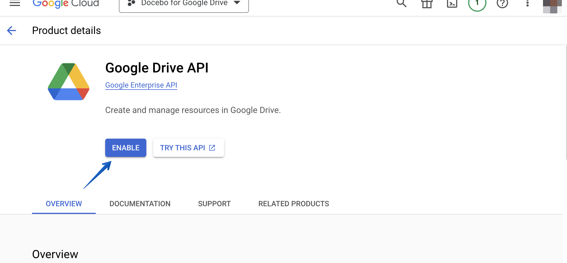 Enabling the Google Drive API by pressing the Enable button