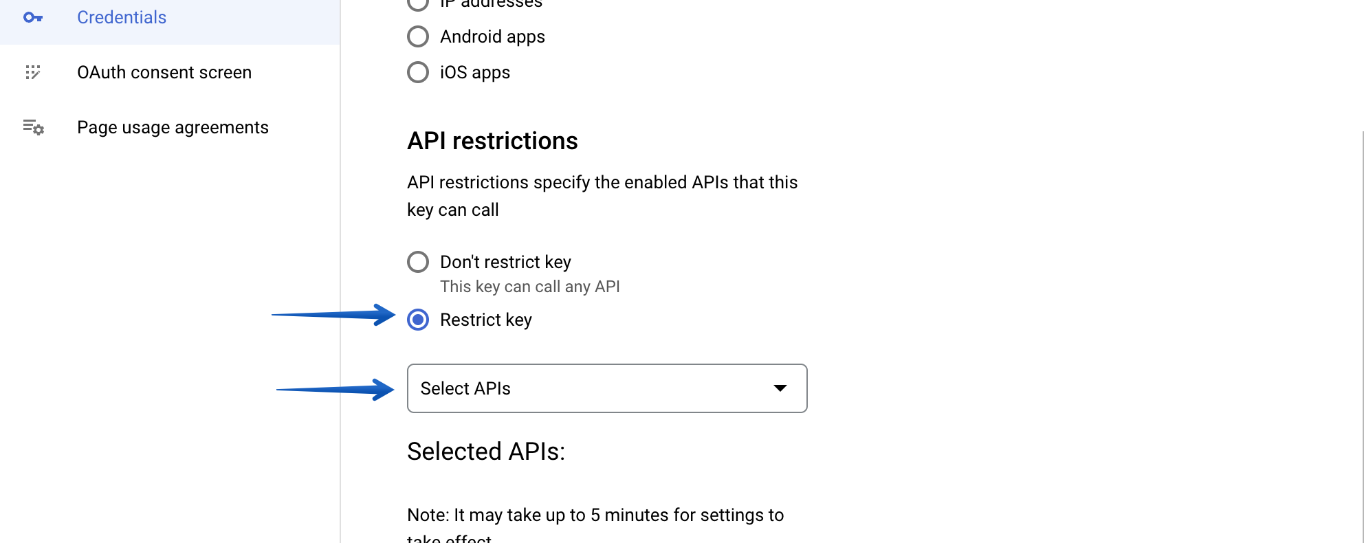 Pressing the Restrict key radio button in the API restrictions section, then pressing the Select APIs drop-down menu
