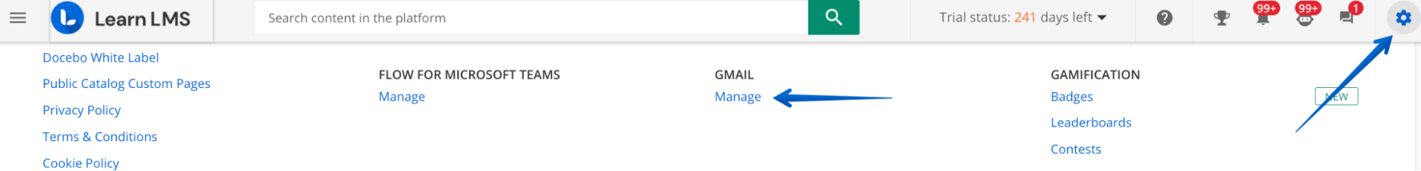 Accessing the GMail Admin Page