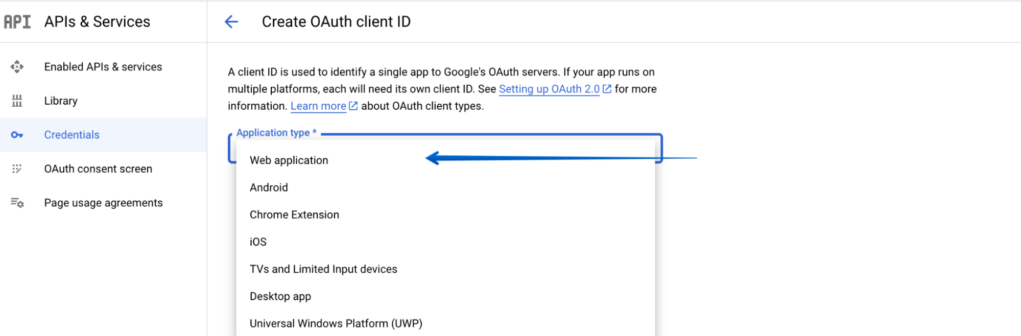 Selecting Web Application from the Application Type drop-down menu