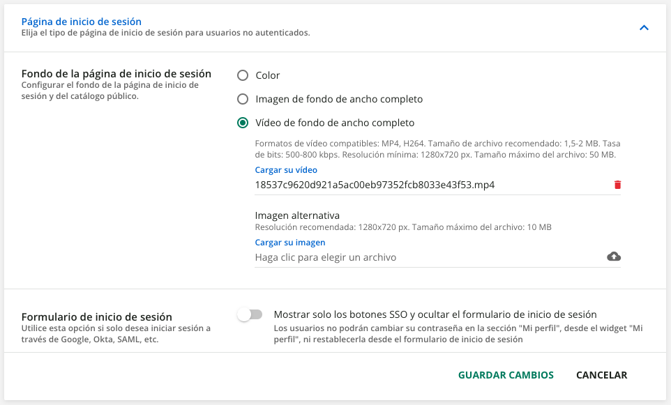 video de fondo de ancho completo