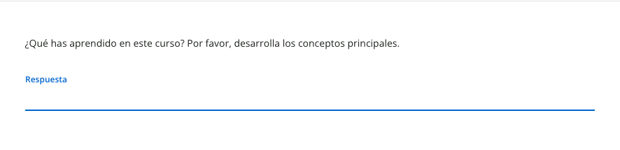 pregunta de texto ampliado vista de alumno