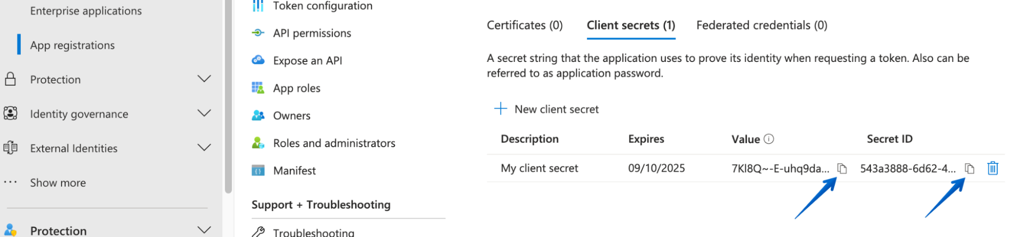 Copying the secret value and secret ID to the clipboard