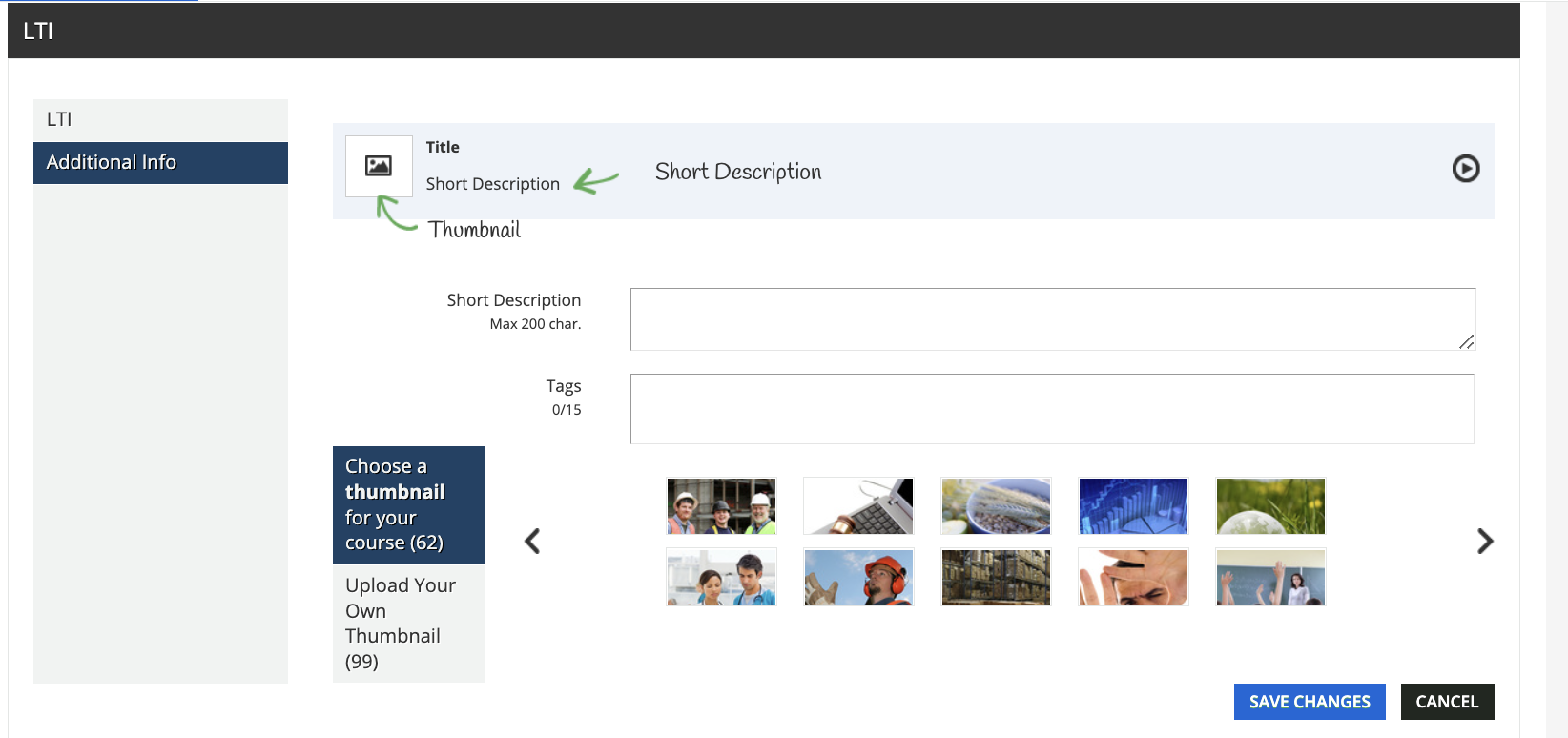 LTI content additional info