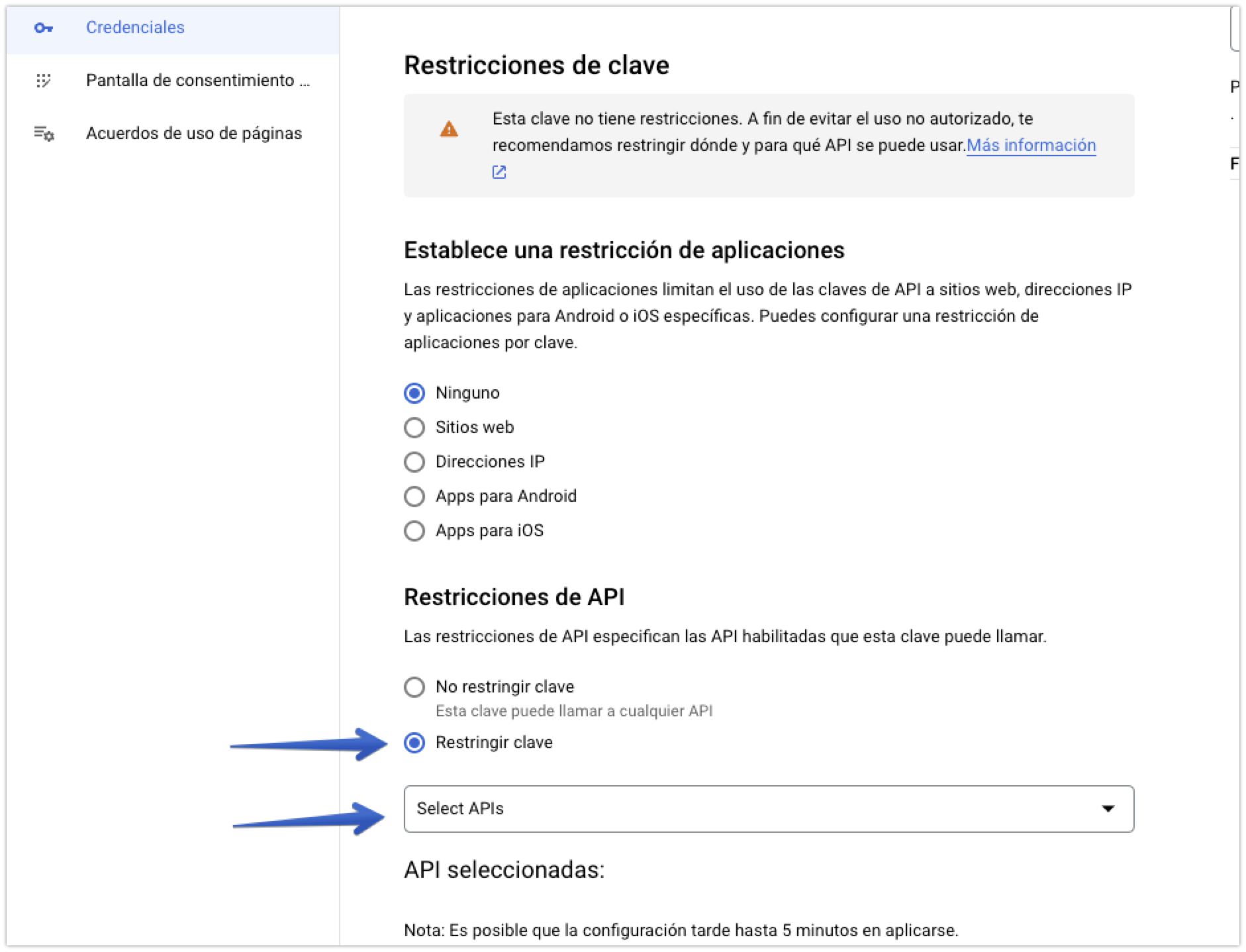 Restricciones de API