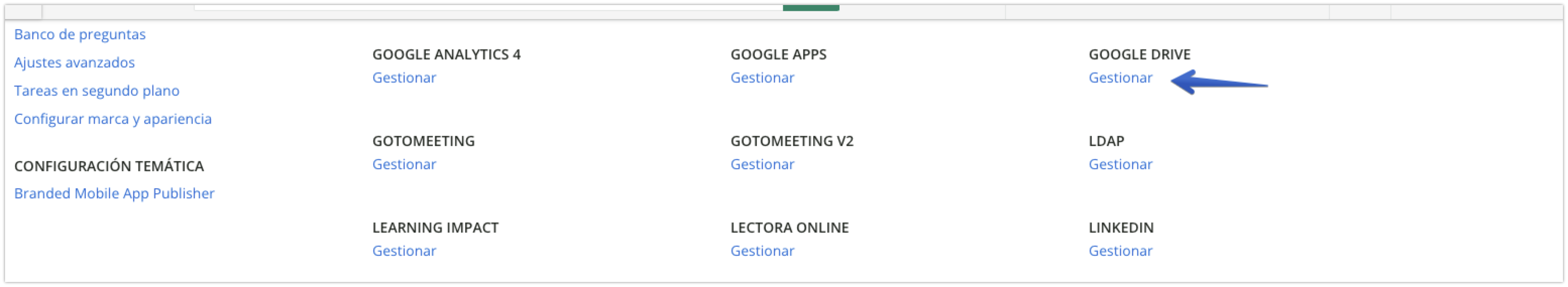 Sección Google Drive y subelemento Gestionar