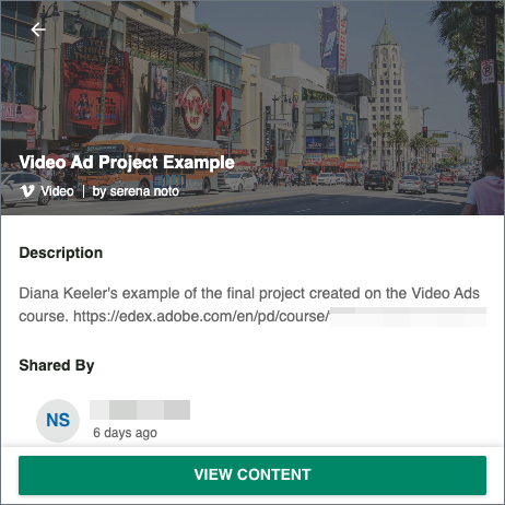 The detailed view where the thumbnail as background and asset type are visible