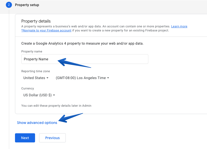 Google Analytics Property Advanced Options