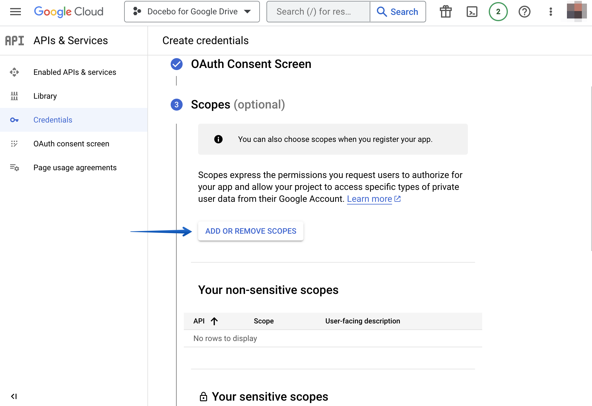 Pressing the Add or Remove Scopes button