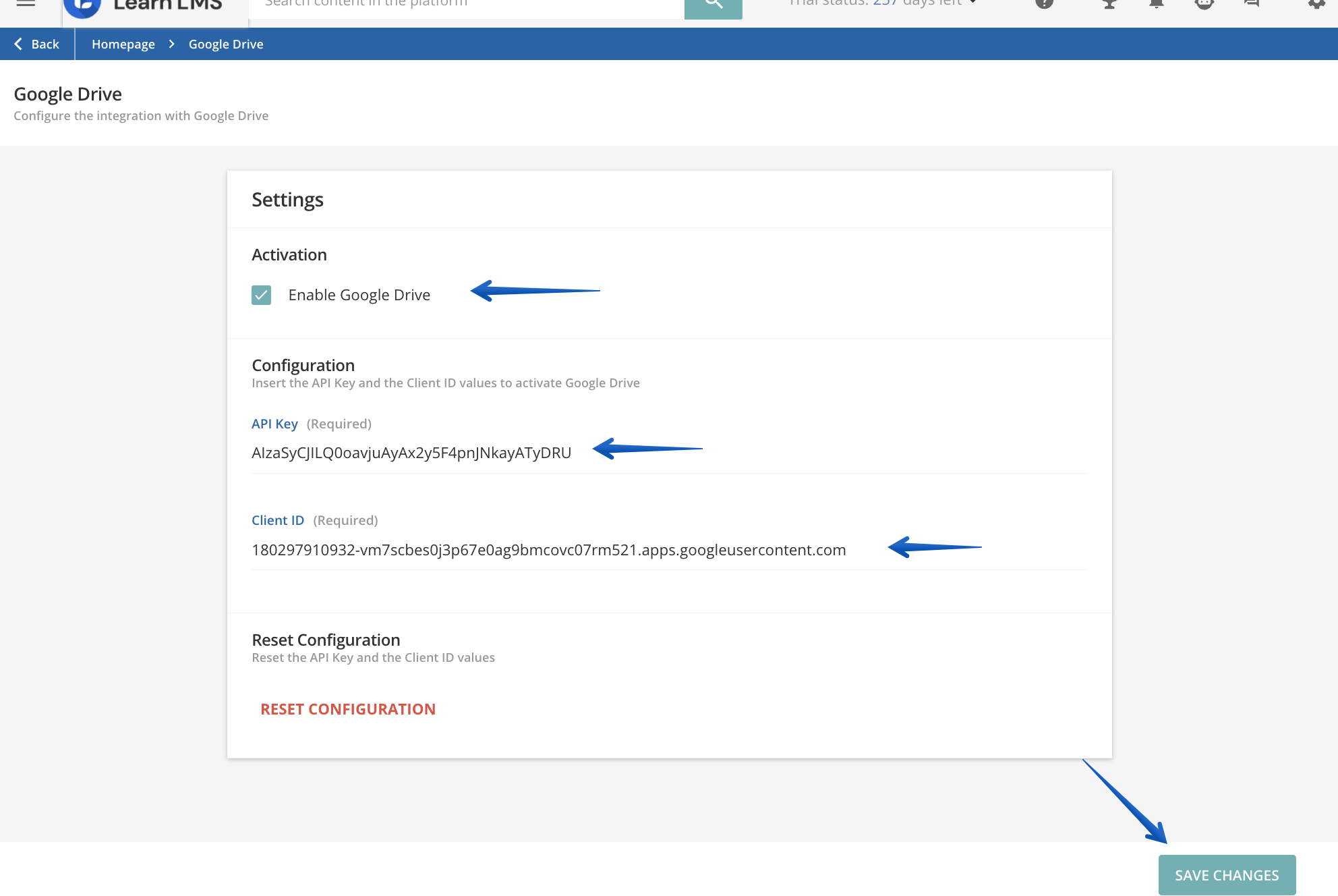 Configuring Google Drive and pressing Save Changes