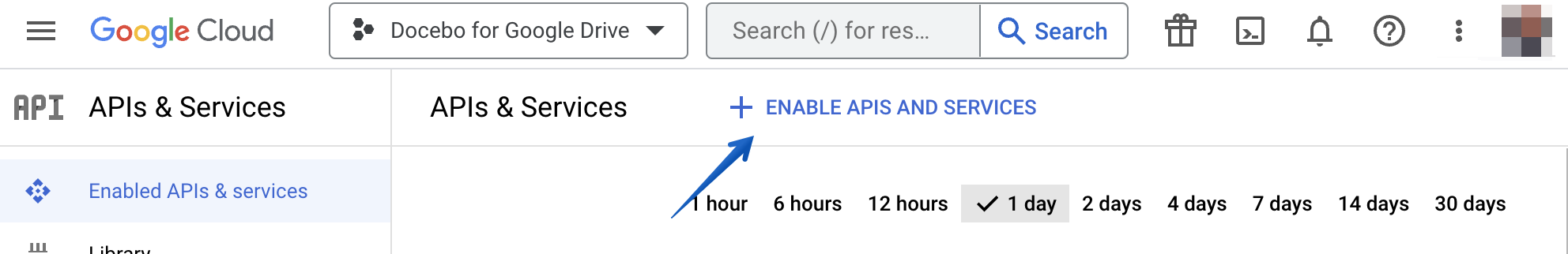Enabling APIs and Services for the project