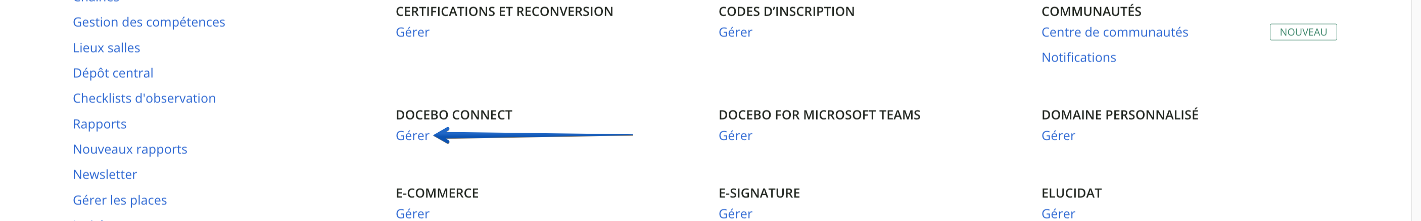 Accéder à la page de gestion de Docebo Connect.
