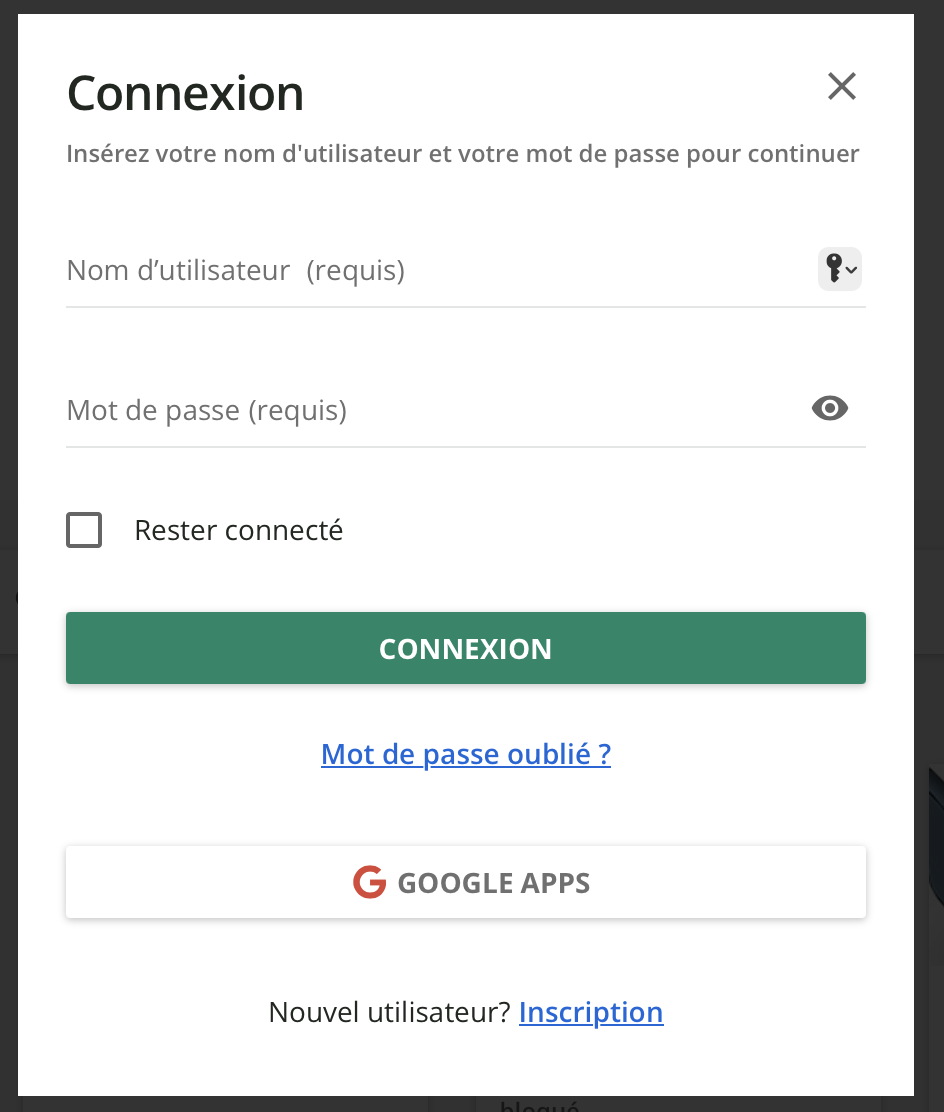 Les champs et options de la fenêtre de connexion.