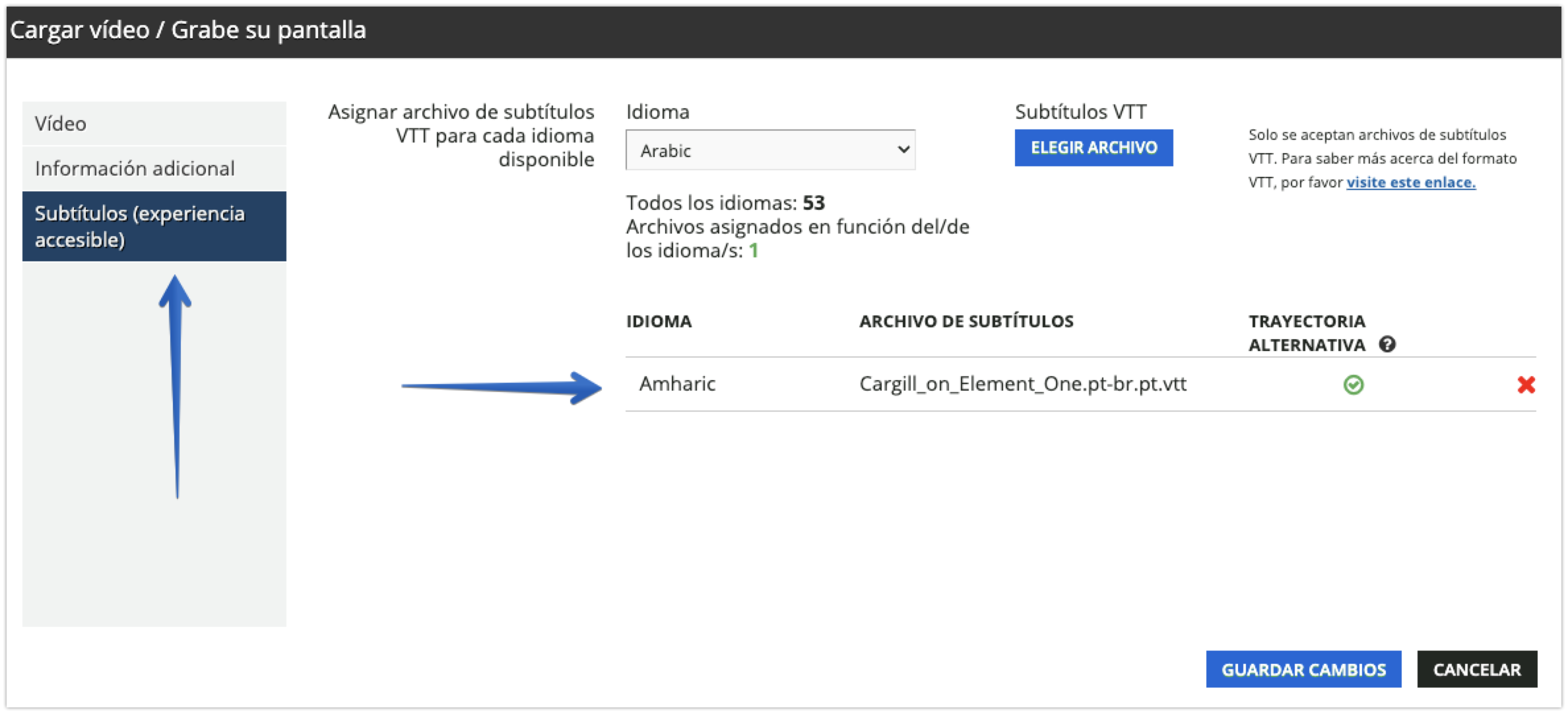 Opción de subtítulos