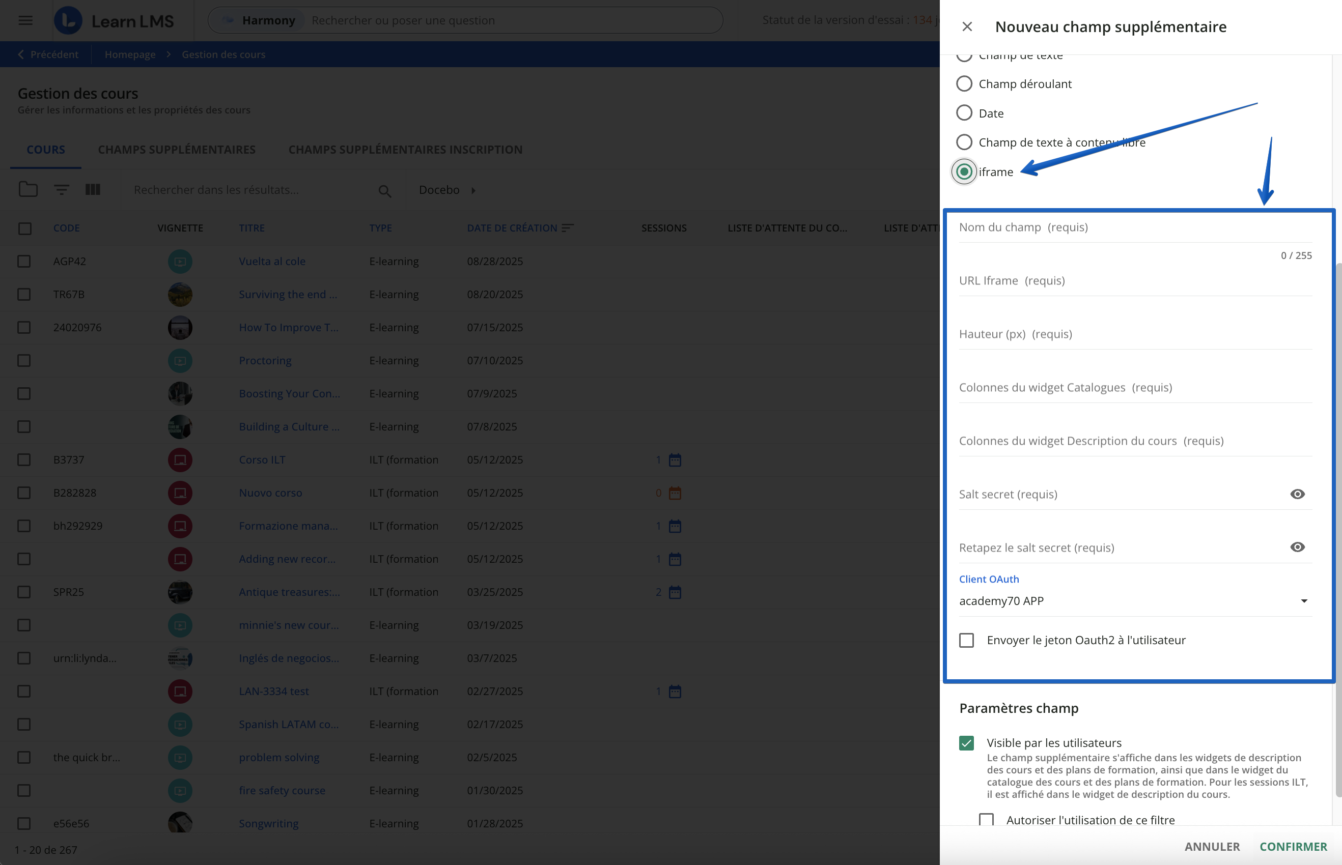 Créer un nouveau champ iframe.