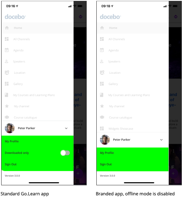 Hiding the Offline Mode Options