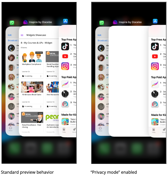 Blank Preview in the Multitasking Switcher