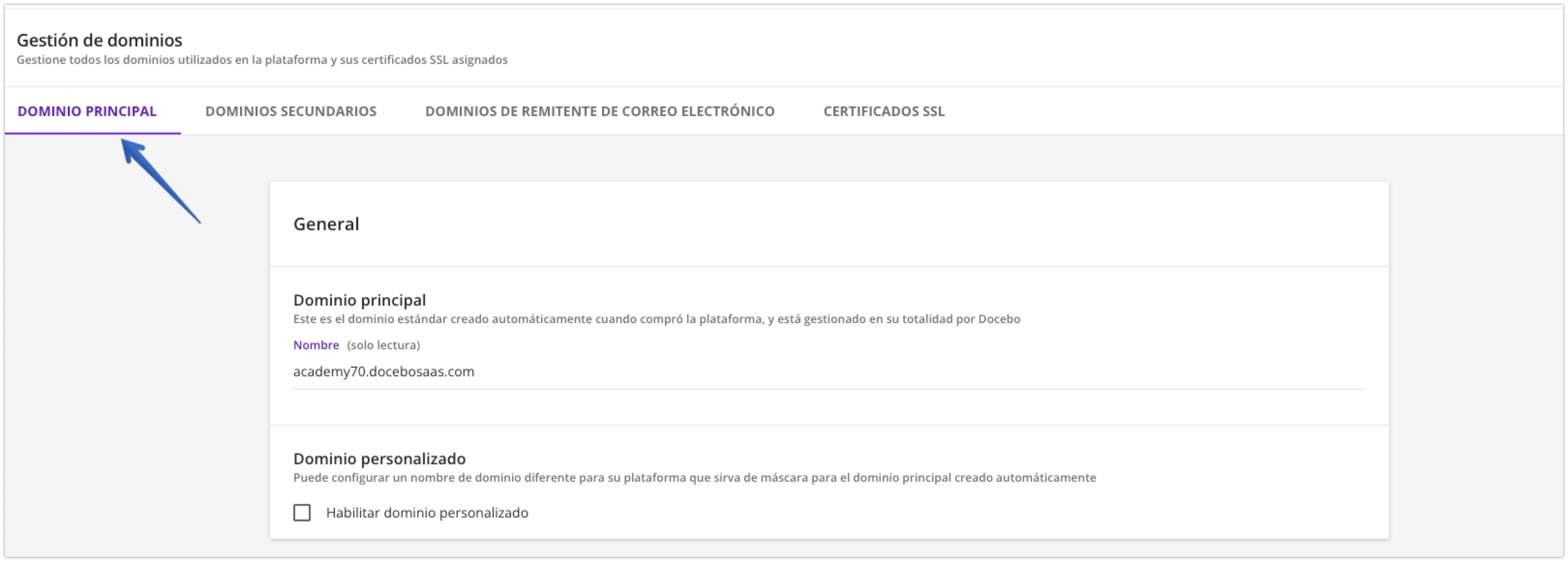 Pestaña Dominio principal