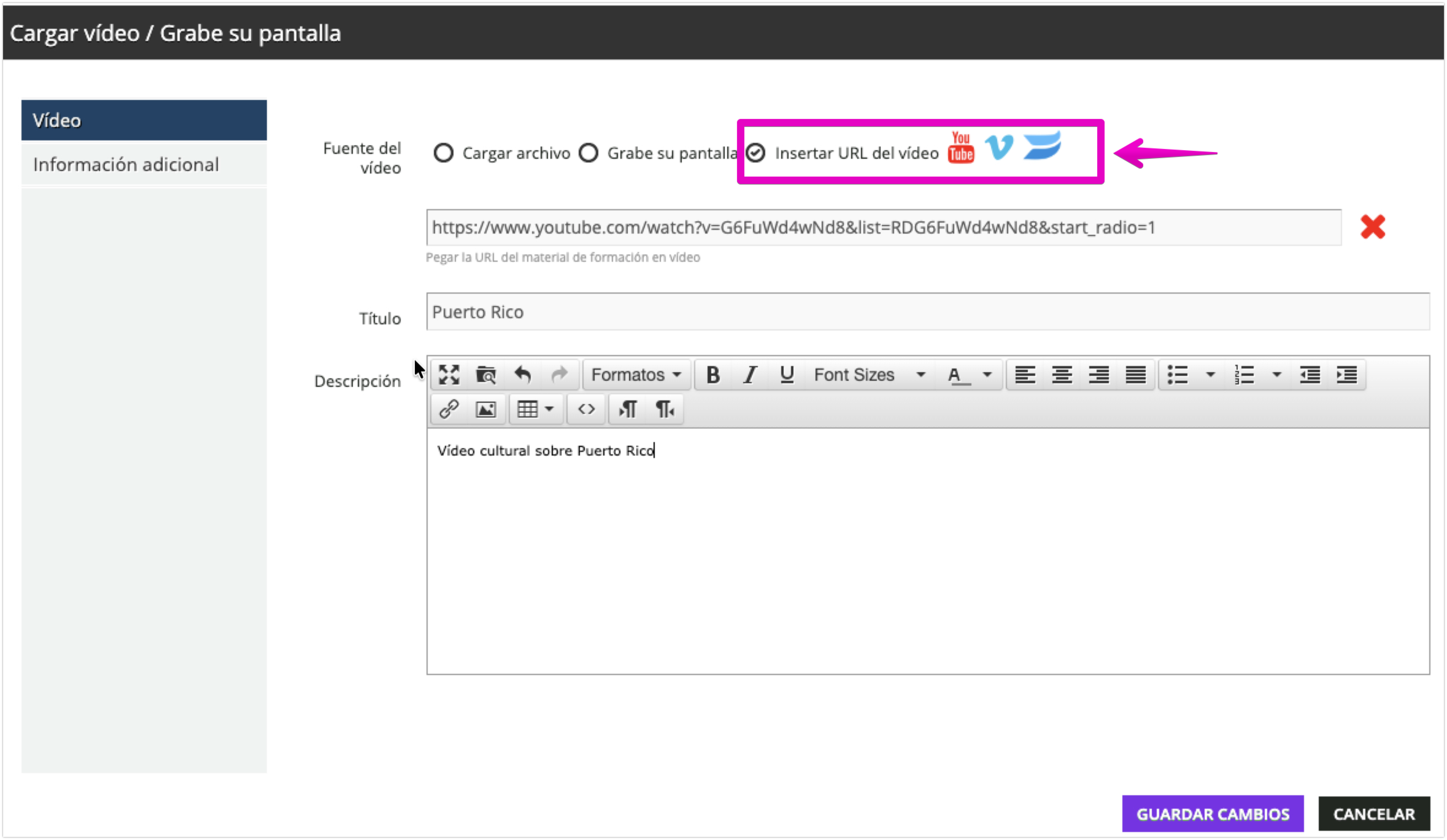 Área de carga de la URL del vídeo