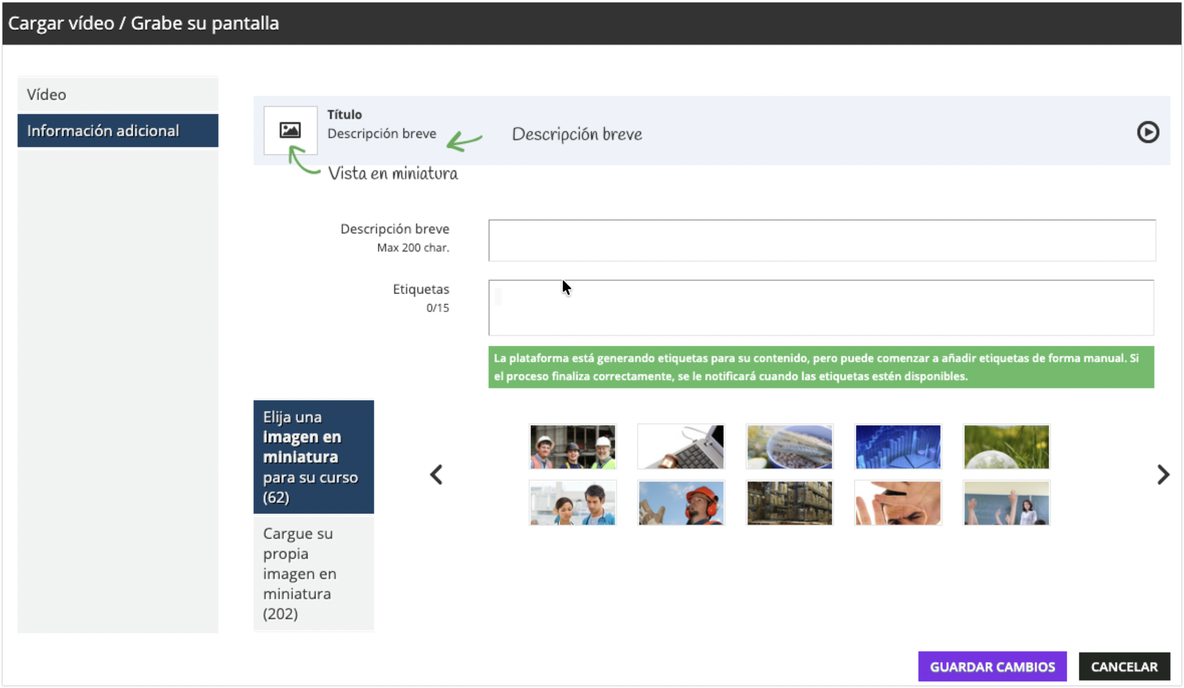 Área Información adicional del vídeo
