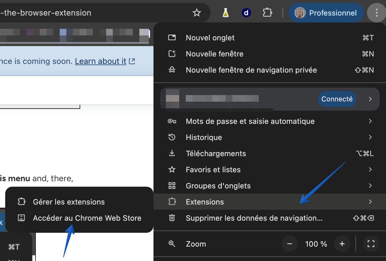 Ouvrir le menu du navigateur, sélectionner Extensions et choisir Accéder au Chrome Web Store