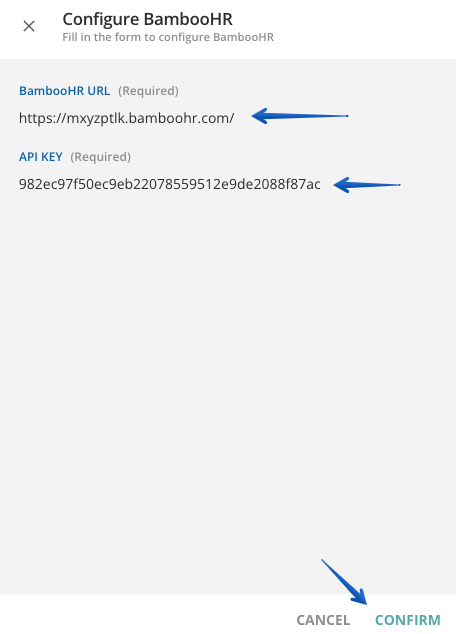Ajout de l'URL et de la clé API