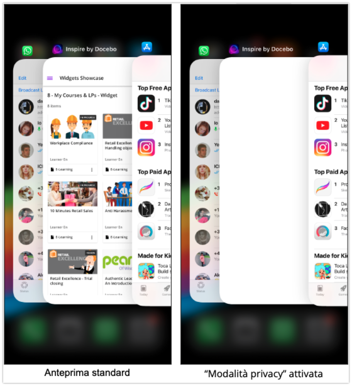 Anteprima_Vuota_nello_Switcher_Multitasking.png