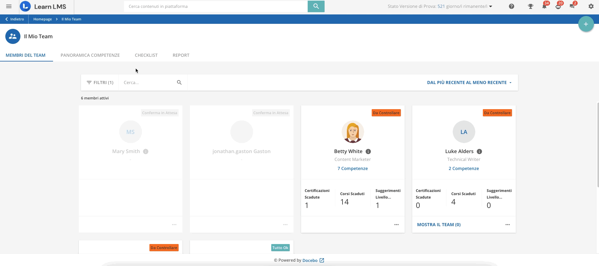 Pagina Il Mio Team: Panoramica Competenze