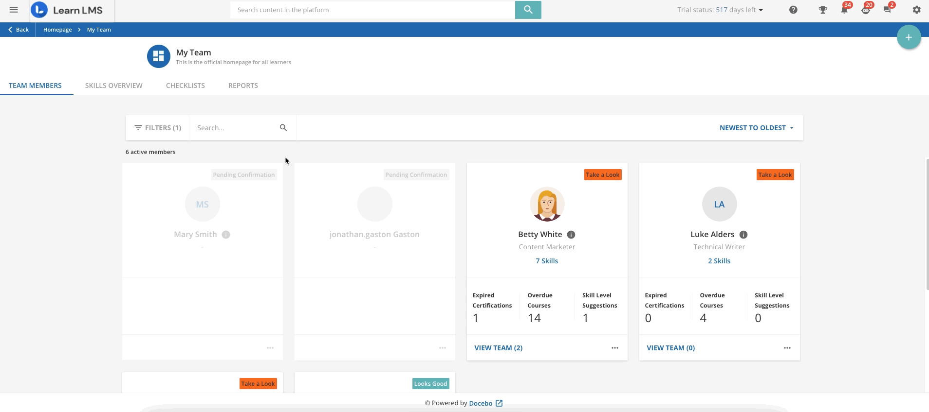 The Skills in My Team Page