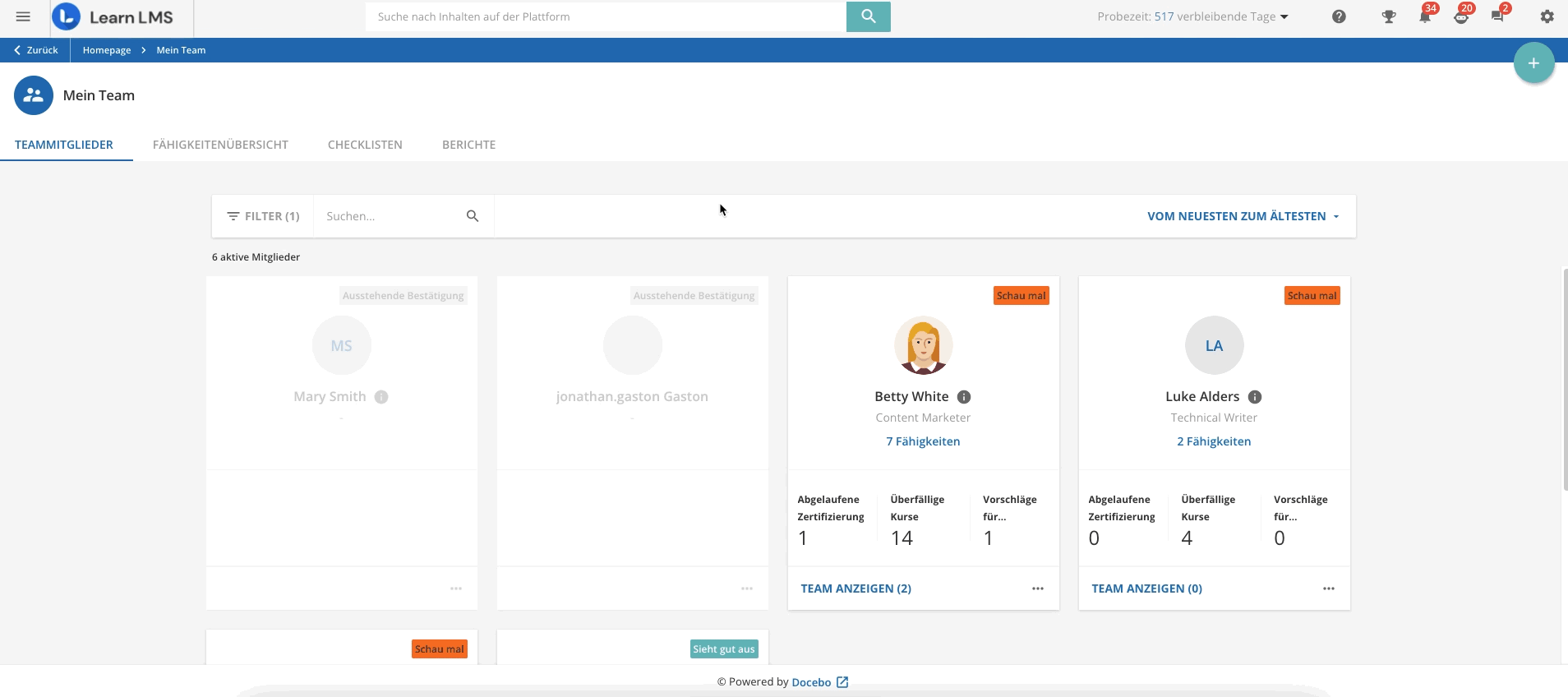 Die Seite Fähigkeiten in Meinem Team